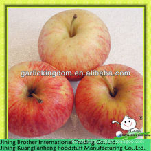 2013 new season fresh red gala apple